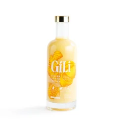 Élixir de gingembre bio