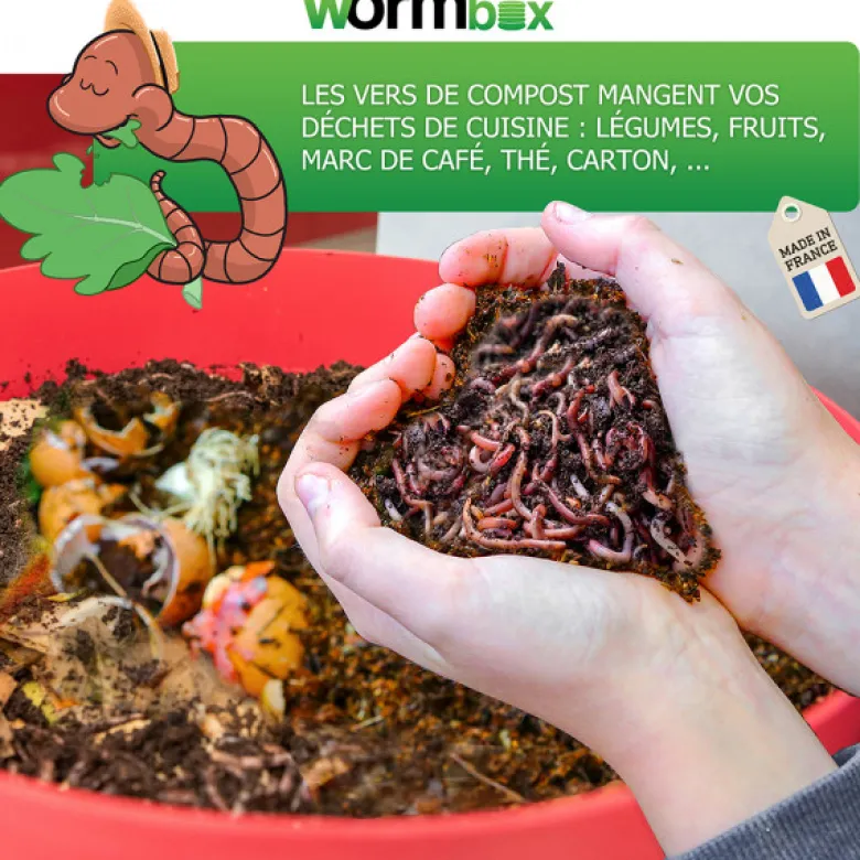 Lombricomposteur wormbox 4 plateaux, 72l