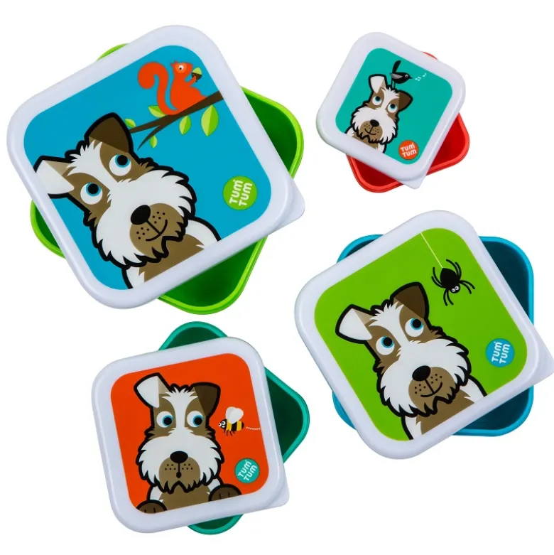 Lot de 4 boites gigognes scruff tumtum