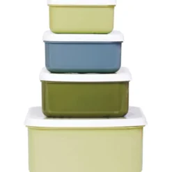 Lot de 4 boîtes à goûter dinosaure