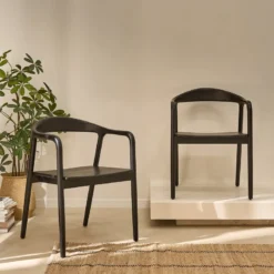 Lot de 2 chaises en teck massif noire