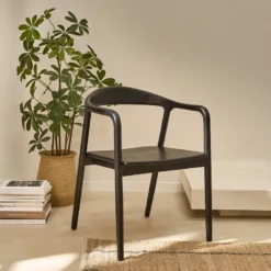 Lot de 2 chaises en teck massif noire