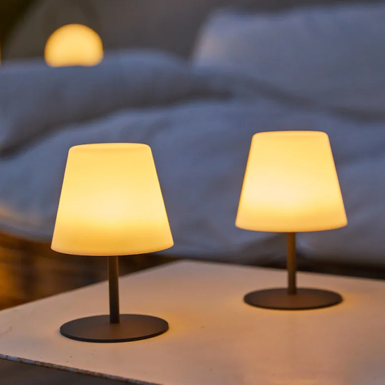 Lot de 2 lampes de table sans fil twins