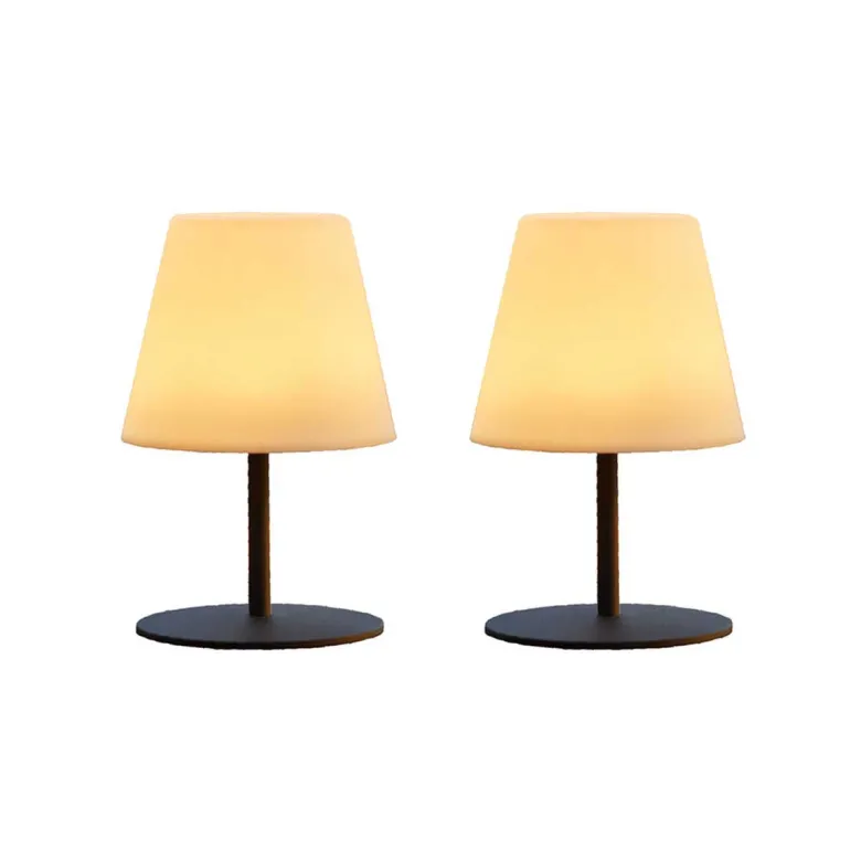 Lot de 2 lampes de table sans fil twins
