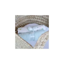 Lot de 2 langes verde 70x70 cm