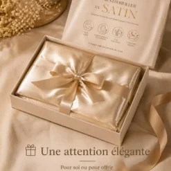 Lot de 2 taies d'oreiller satin effet soie 50x70 cm, champagne doré