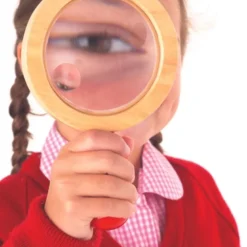 Loupe en bois