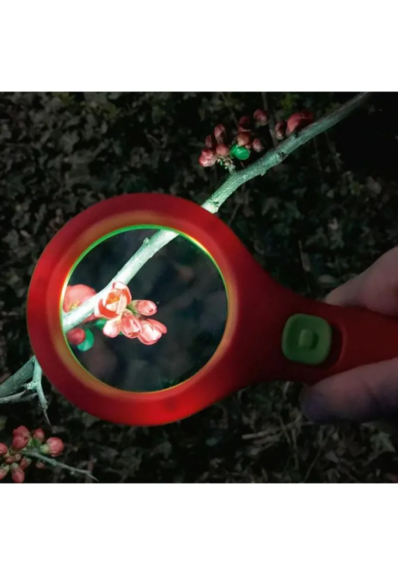 Loupe lumineuse avec leds