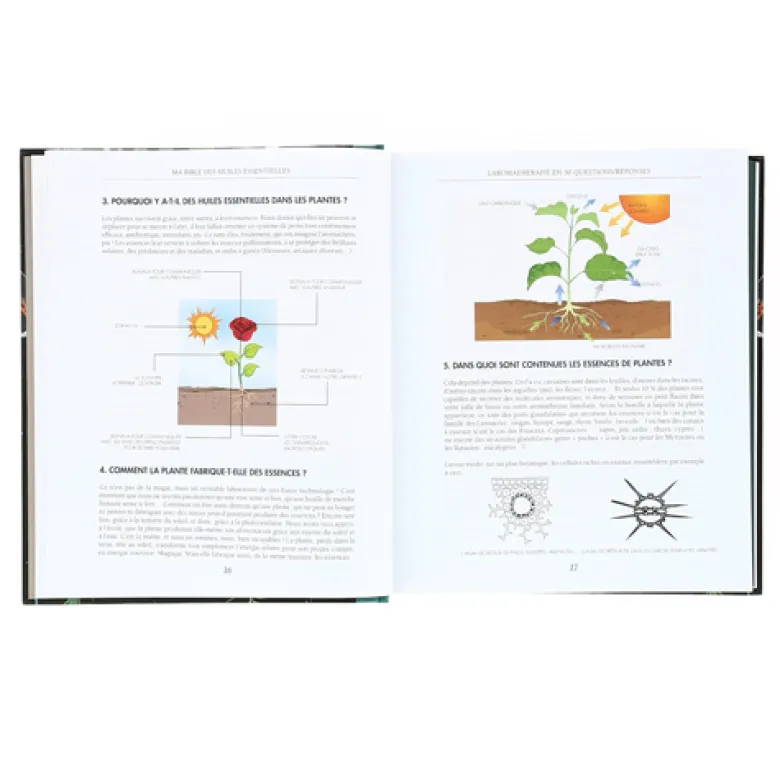 Ma bible des huiles essentielles Luxe