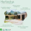 Macérat de bourgeon sans alcool de ginkgo bio - circulation