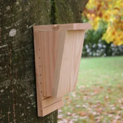 Maison chauve-souris en douglas