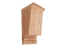 Maison chauve-souris en douglas