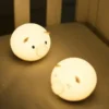 Ma lampe veilleuse piggy