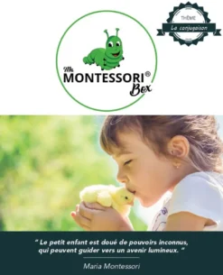 Mamontessoribox conjugaison