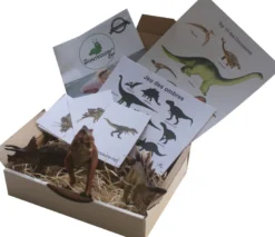 Mamontessoribox dinosaures