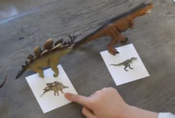 Mamontessoribox dinosaures