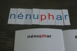 Mamontessoribox homophones