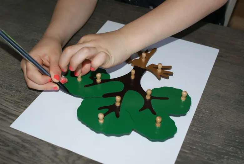 Mamontessoribox puzzle botanique arbre