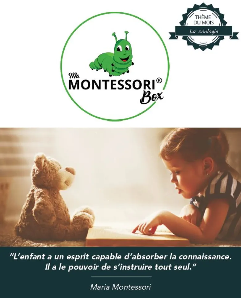 Mamontessoribox puzzle zoologie poisson