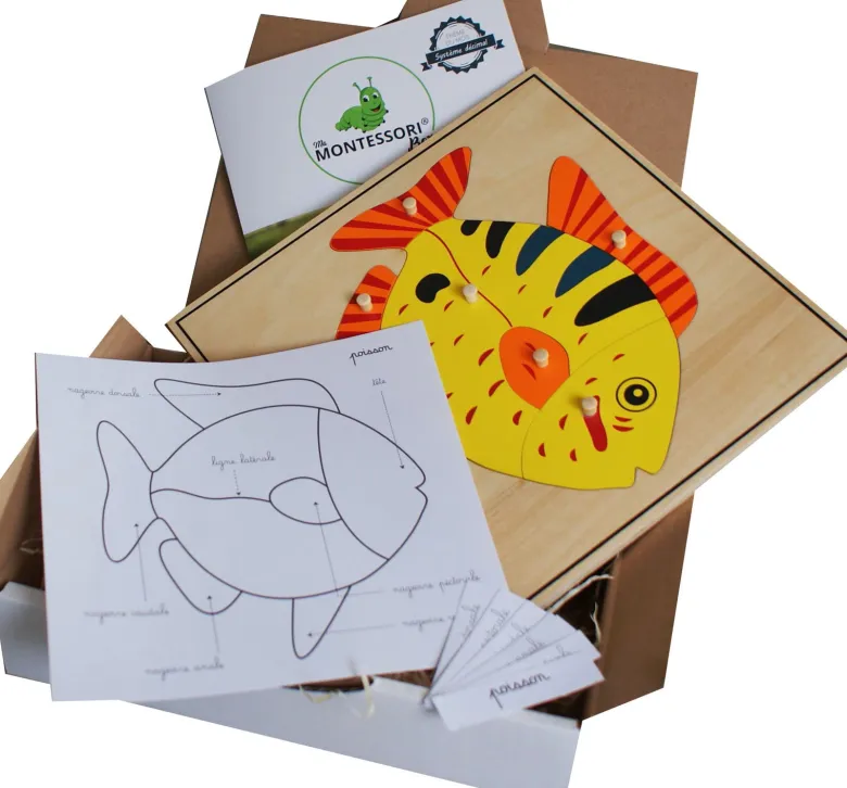 Mamontessoribox puzzle zoologie poisson