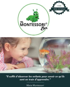 Mamontessoribox séries de lecture