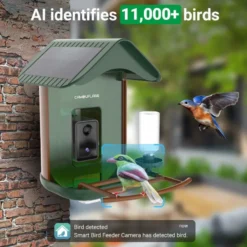 Mangeoire oiseaux détection d'espèce ia