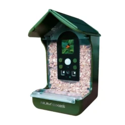 Mangeoire pour oiseaux avec caméra intég
