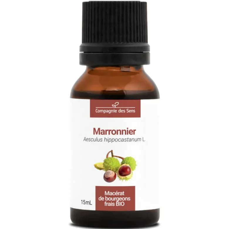 Marronnier macérat de bourgeons bio 15ml 15