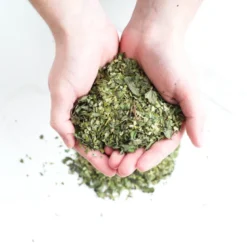 Maté menthe poivrée bio - 70g