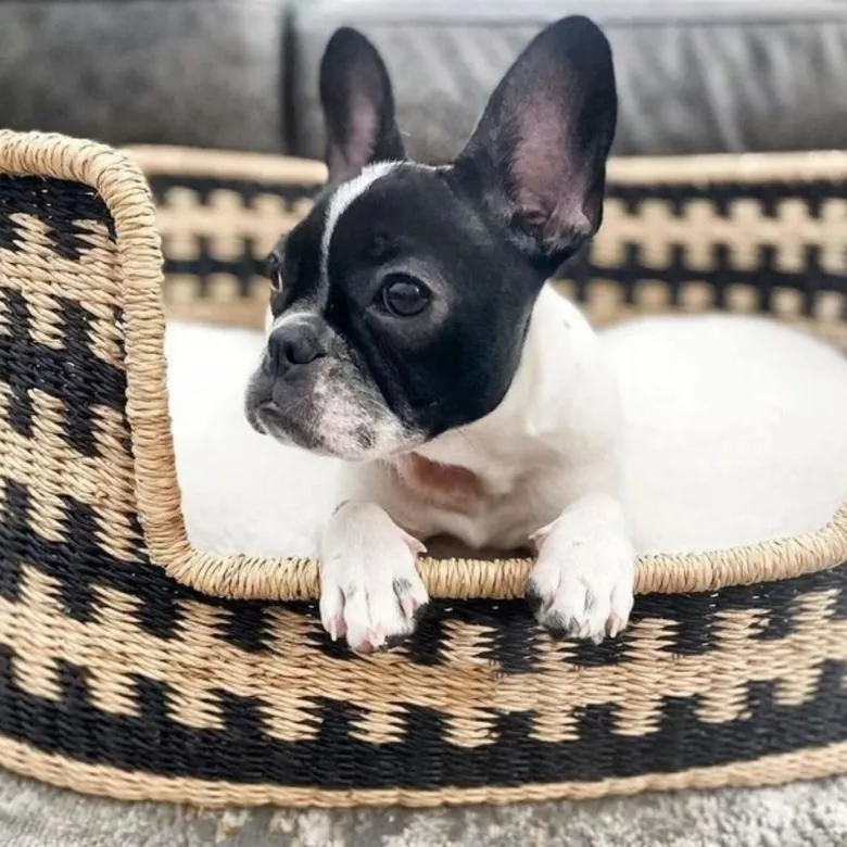 Maya, panier naturel chien noir l