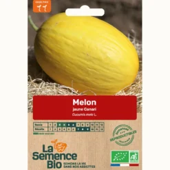 Melon jaune canari hâtif 3 - graines bio