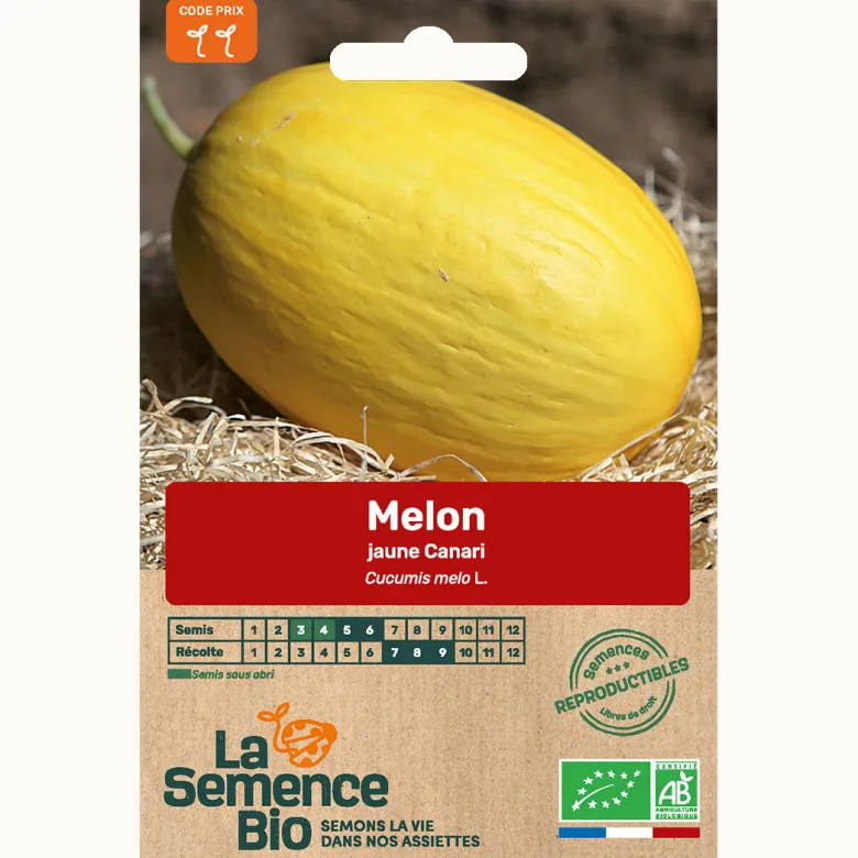 Melon jaune canari hâtif 3 - graines bio