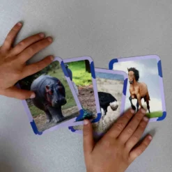 Mes 40 premiers mots: animaux