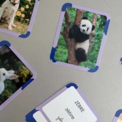 Mes 40 premiers mots: animaux