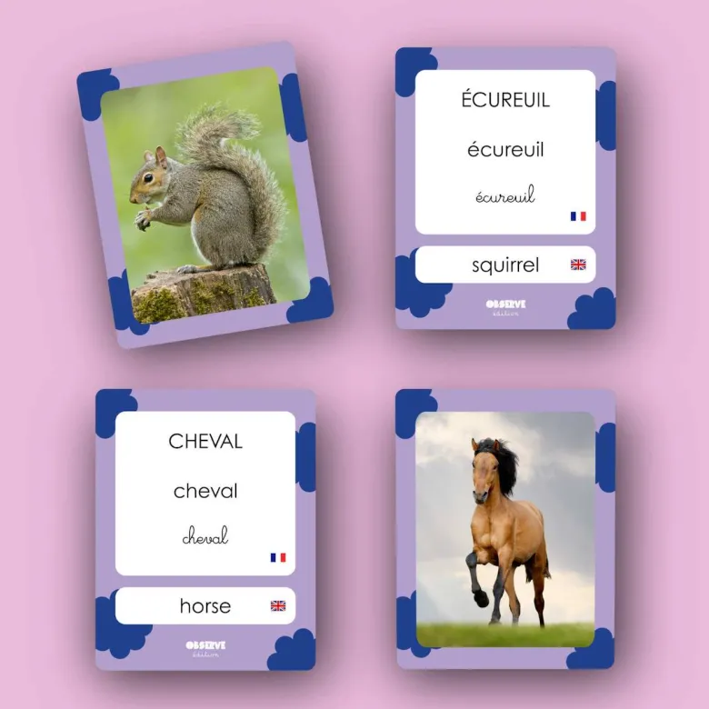 Mes 40 premiers mots: animaux