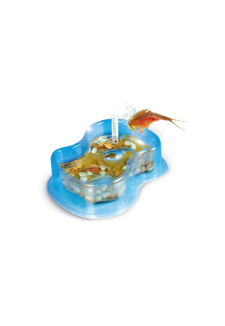 Mes premiers triops