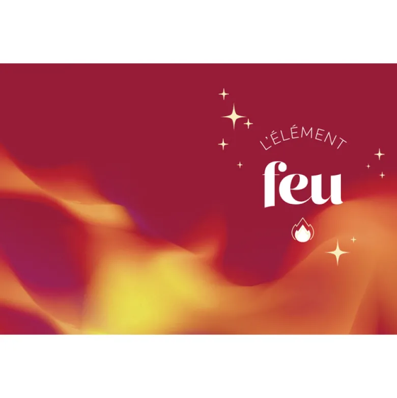 Mes secrets de beauté holistique