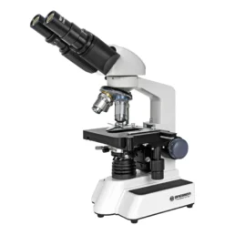 Microscope researcher binoculaire