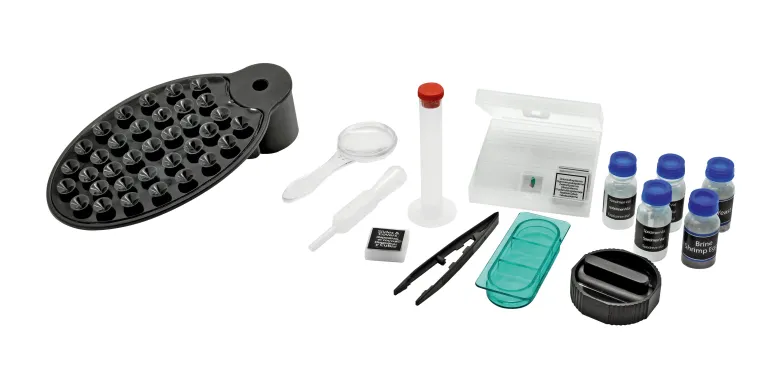 Microscope 40x-640x pour enfant