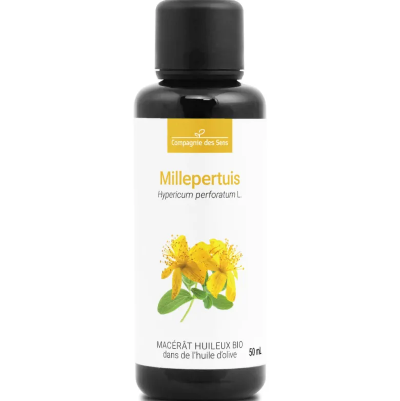 Millepertuis - macérât huileux bio - 50ml - flacon en verre