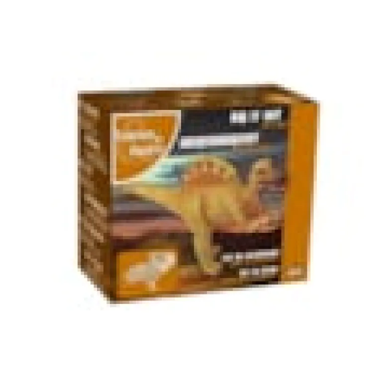 Mini-kit à déterrer squelettes dinosaure