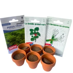 Mini serre herbes aromatiques
