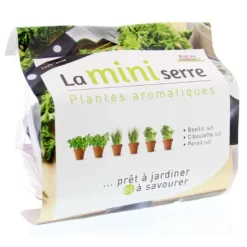 Mini serre herbes aromatiques