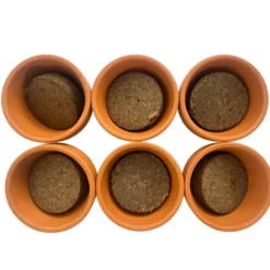 Mini serre herbes aromatiques