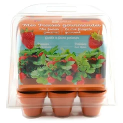 Mini-serre 6 pots fraisier