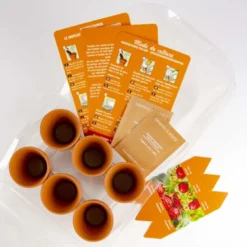 Mini-serre 6 pots fraisier