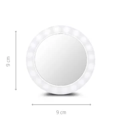 Miroir de courtoisie