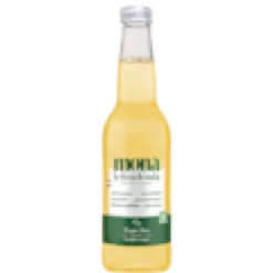 Mona ginger beer bio
