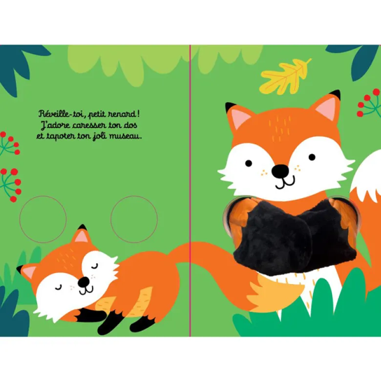 Mon petit renard malicieux