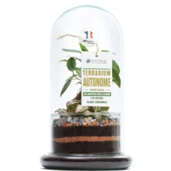 Moyen terrarium Spicy